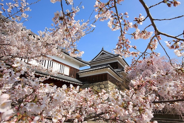4. ปราสาท Ueda จังหวัด Nagano