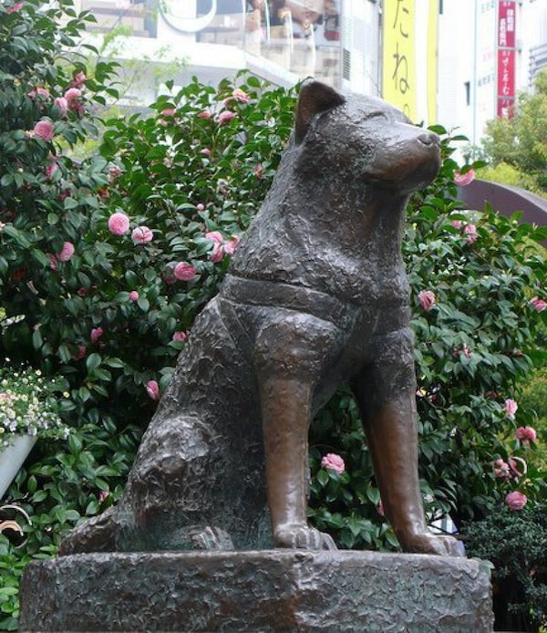 47. Hachiko Square, Shibuya, Tokyo