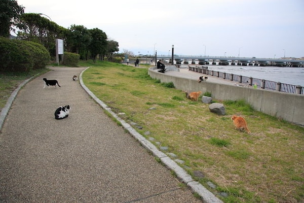 1. Enoshima (Kanagawa)