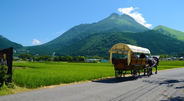 한적한 전원 풍경과 마차: 오이타현