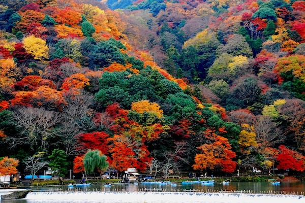 2. จังหวัด Kyoto / Arashiyama