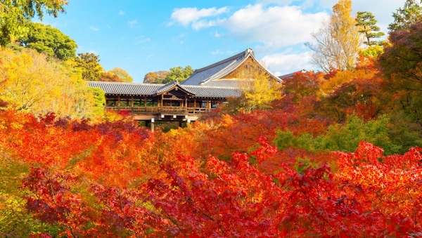 第2位 东福寺的红叶