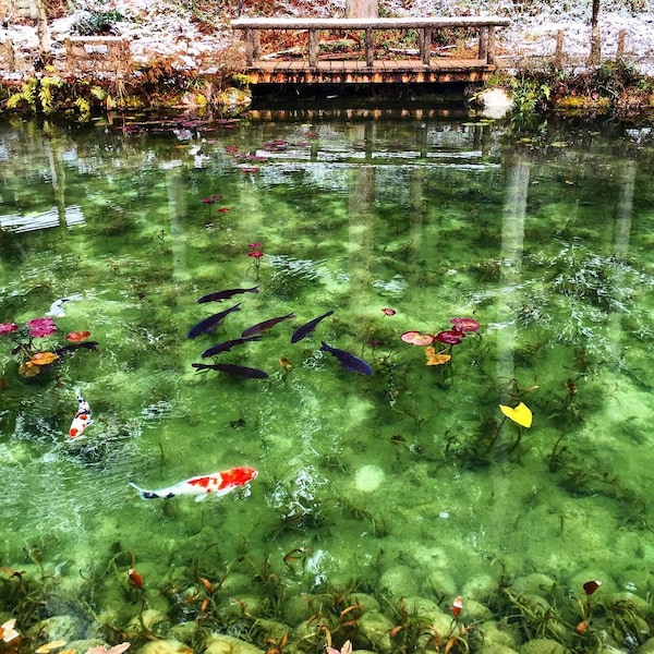 9. Monet’s Pond (Gifu)