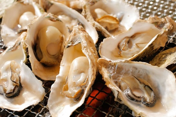 Dining: Kujuku-shima Oysters