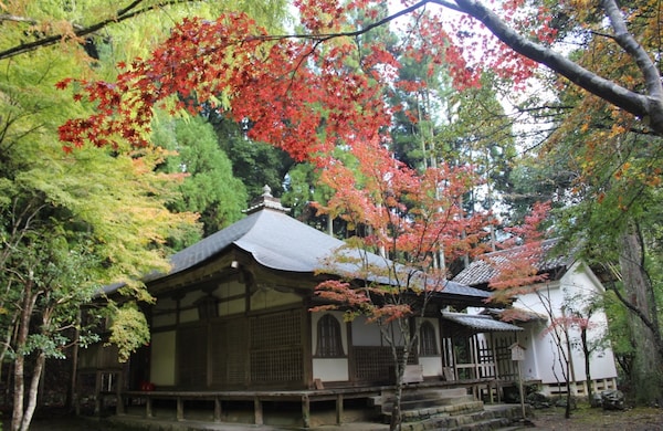 攝影家最愛的京都楓情「高雄地區」