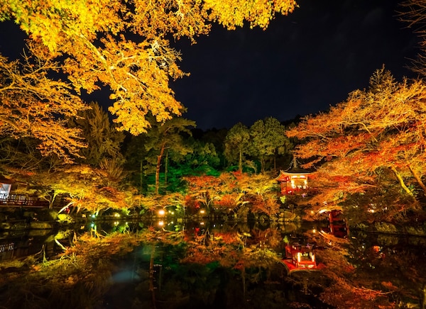 京都的世外桃源「醍醐寺」