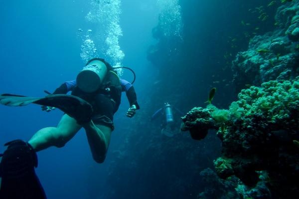 Diving: Ishigaki Island (Okinawa)