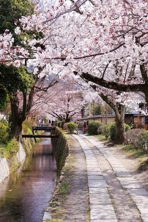 Spring & Fall Offer Different Enjoyments of Beauty: Tetsugaku-no-Michi (The Pholosopher's Walk, Kyoto)