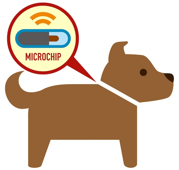 1. Microchips
