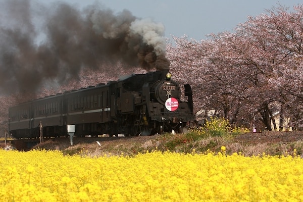 5. รถไฟ Mo-oka Tetsudo (Ibaraki-Tochigi)
