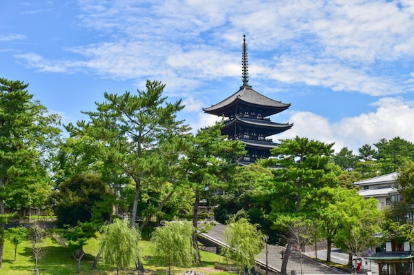 3.1 Kofuku-ji Temple