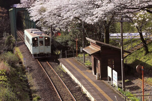 2. จังหวัดกิฟุ สถานีฮินาตะ (日当) รถไฟสายทารุมิ เท็ตสึโด (樽見鉄道)