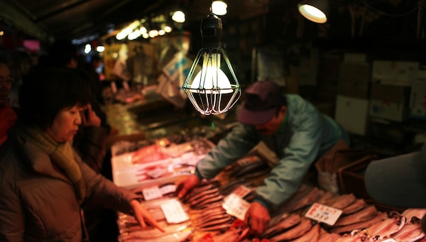Tsukiji Market - a glimpse into the life of local merchants
