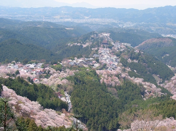 1. ภูเขาโยชิโนะ (Nara)