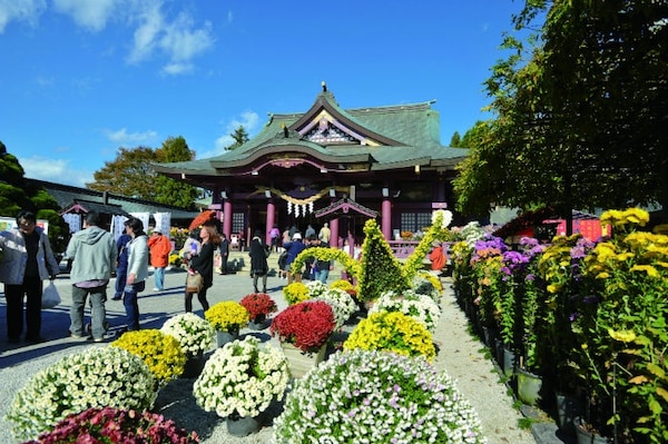 Kasama Inari Shrine (Chrysanthemum Festival)