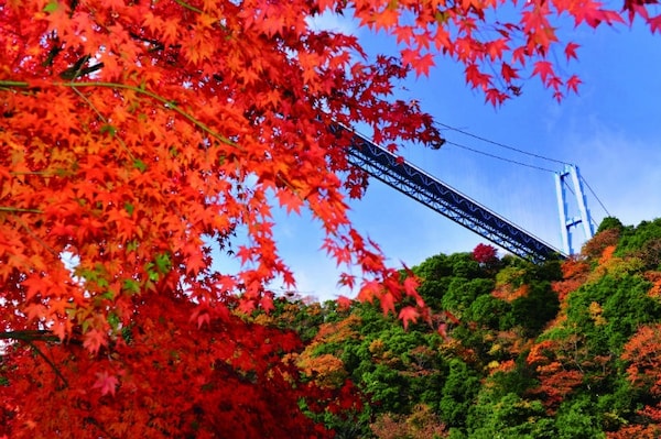 Ryujin Big Suspension Bridge (Autumn leaves)