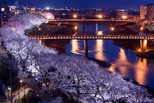 4. Asuwagawa River (Fukui City, Fukui)