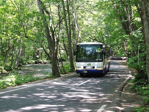 2. Bus