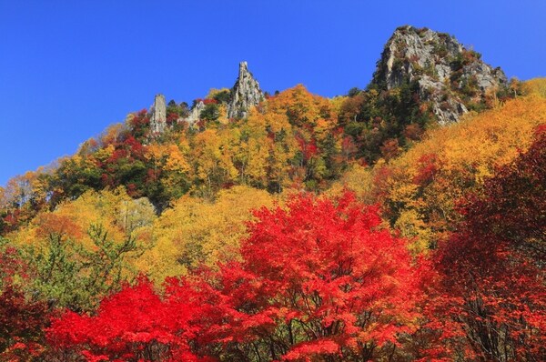 October — Autumn Leaves at Daisetsuzan