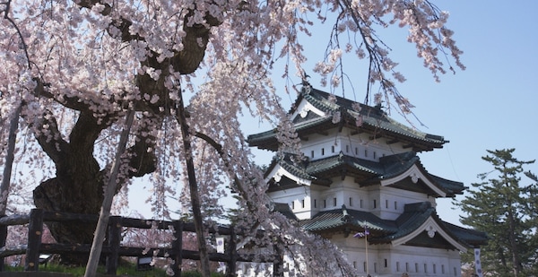 Aomori — Hirosaki Castle