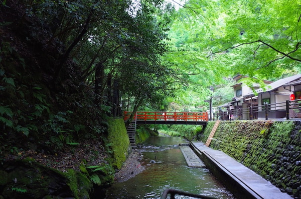 1. It’s a rare chance to experience Kyoto in pleasant weather