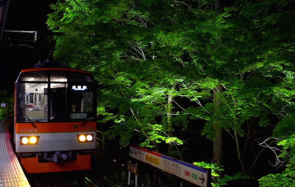 3. The limited-time maple light-up nighttime train ride