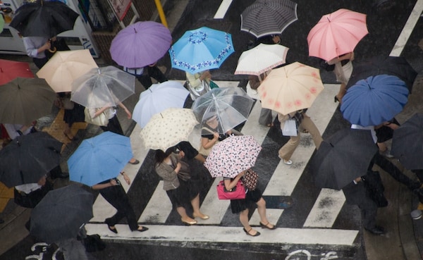 日本的梅雨何時開始