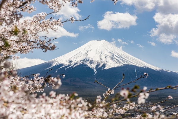 Your Destination for Japanese Natural Beauty