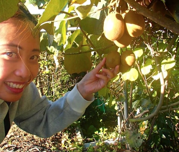 1. Fruit Picking in Yamanashi
