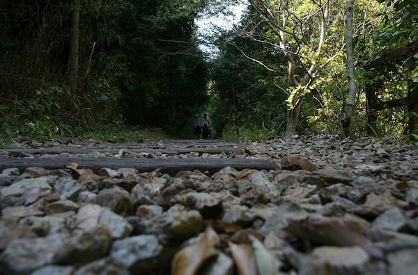 8. Takedao Railway Hike