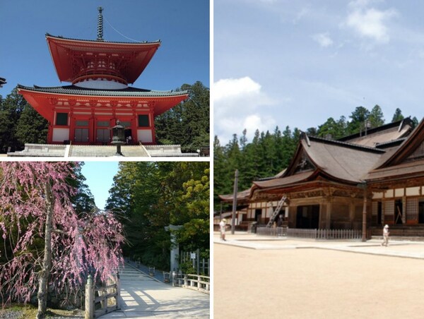3. Mount Koya One-Day Train Tickets, Bus Pass & Lunch Package from Osaka