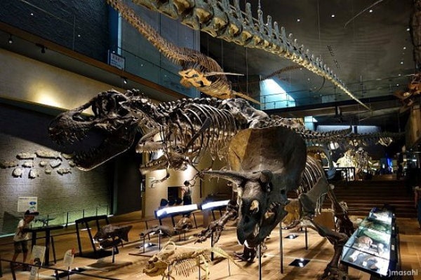 9. พิพิธภัณท์ประวัติศาสตร์ Museum of Natural History and Human History เมือง Kitakyushu (Fukuoka)