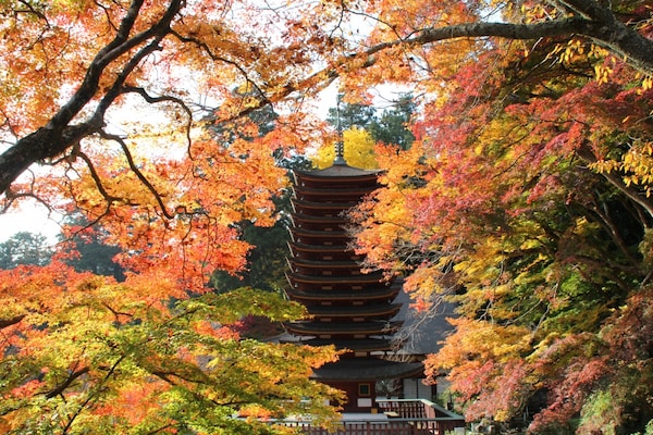 ■ 奈良最美枫红 — 奈良谈山神社