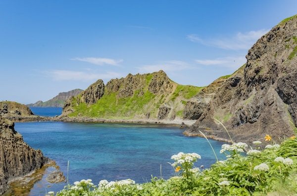北海道絕景9：日本最北端花之島的禮文島
