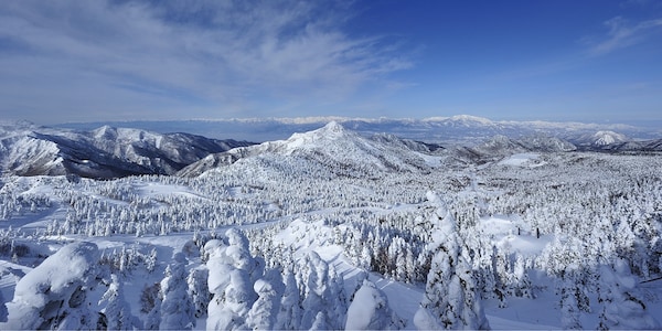 亞洲最大型的一流滑雪度假村【長野】 志賀高原滑雪場