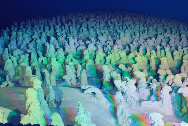山形｜蔵王樹氷まつり2020 (藏王樹冰祭2020)