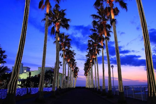 10. The illuminations of Riviera Zushi Marina