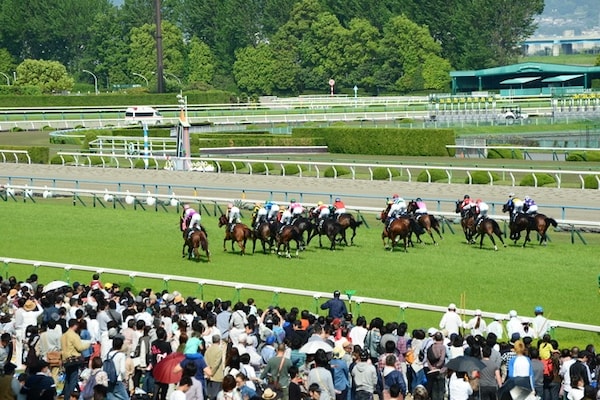 ▍京都親子景點８：日本歷史最悠久的競馬場・京都競馬場