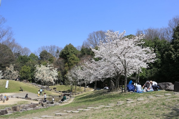 ▍京都親子景點９：京都市民最愛的假日悠閒去處・鴻之巢山運動公園