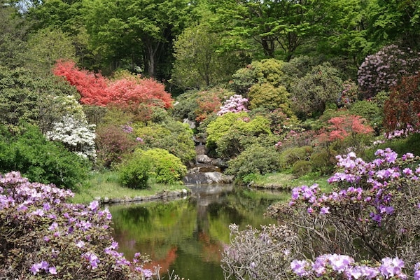 9. สวนป่าธรรมชาติอาคางิ (Akagi Nature Park)