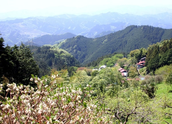 Koburi Pass and Yukade - 70 Minutes from Ikebukuro