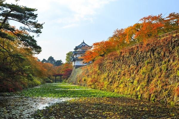 7. ปราสาทฮิโรซากิ อาโอโมริ (Hirosaki Castle, Aomori)