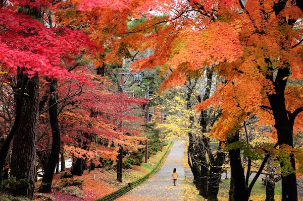 ใบไม้เปลี่ยนสีเต็มสวนภายในปราสาทฮิโรซากิ