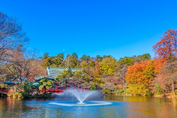 9. สวนอิโนะคาชิระ (Inokashira Park) ซากุระก็มี ใบไม้เปลี่ยนสีก็สวย