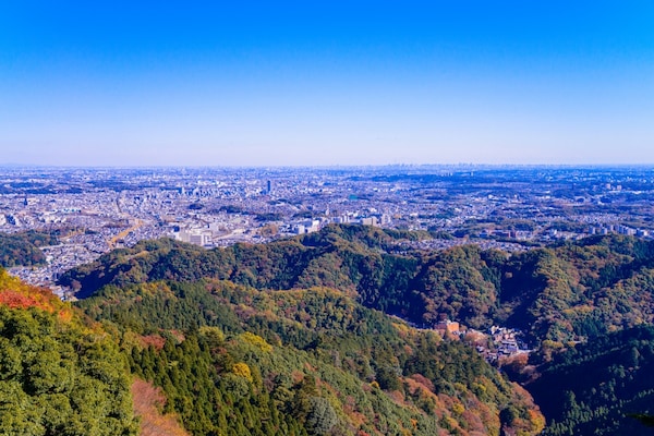 Mount Takao & Mount Mitake