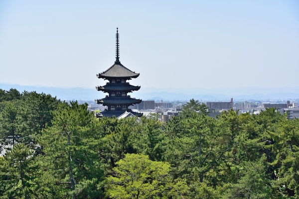 2. วัดโคฟุคุจิ ชมเจดีย์และวัตถุโบราณ (Kofukuji Temple)