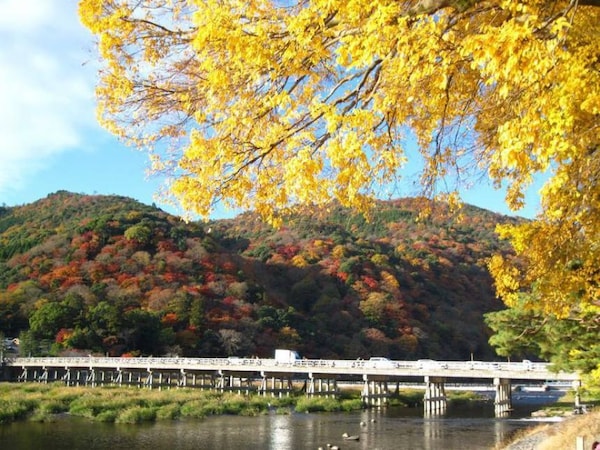 8. Arashiyama - Breathtaking Scenery