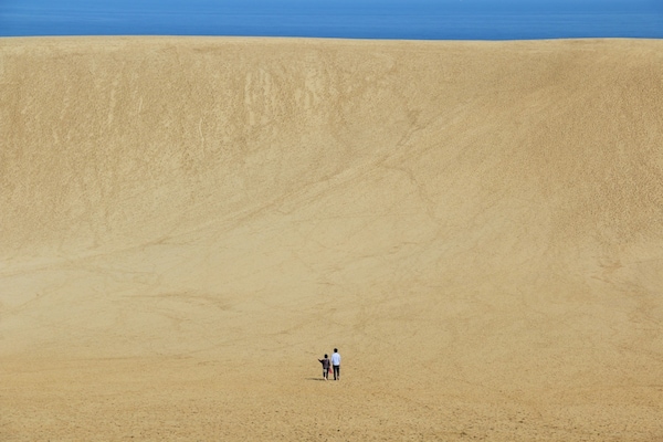 1. เนินทรายทตโตริ (Tottori Sand Dunes)