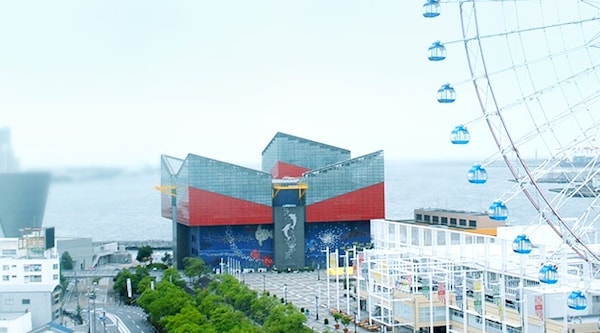 9 พิพิธภัณฑ์สัตว์น้ำไคยูคัง (Osaka Aquarium Kaiyukan)