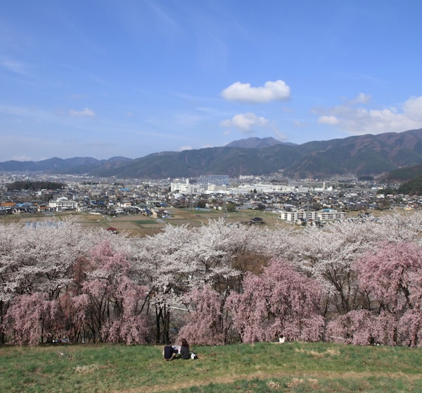 7. จุดชมวิวเนินเขาโคโบยามะ (Koboyama Hill) ในเมืองมัตสึโมโตะ จังหวัดนากาโนะ (Matsumoto, Nagano) จากเรื่อง Orange